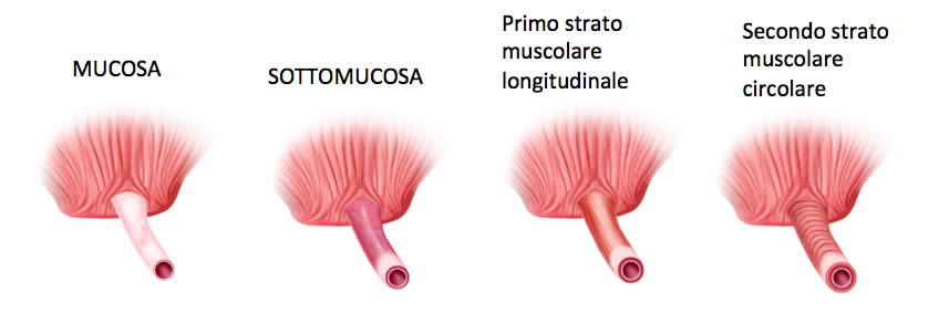 Figura 2