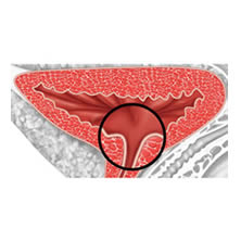 fig3