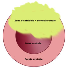 fig 8