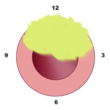 fig 9